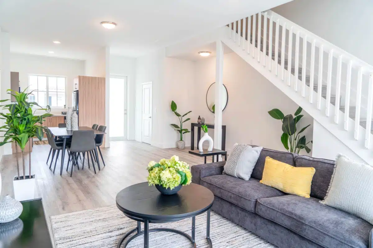 Clear Shores Inc - Preview